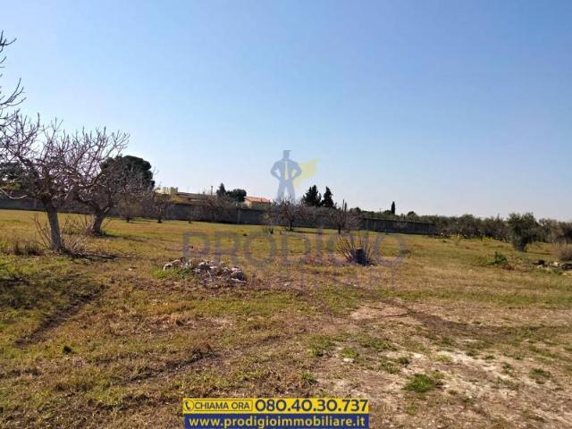 Terreno in vendita a Puglia, Barletta-andria-trani