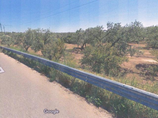 Terreno in vendita a Puglia, Barletta-andria-trani