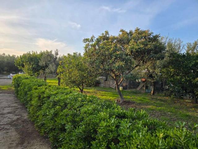 Terreno in vendita a Puglia, Barletta-andria-trani