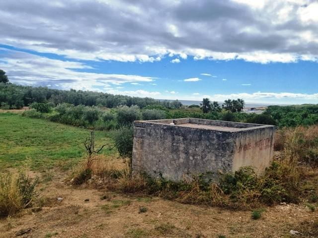 Terreno in vendita a Puglia, Barletta-andria-trani