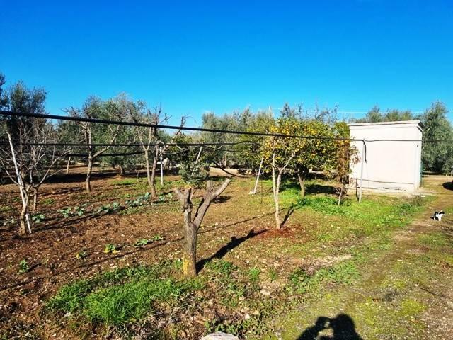 Terreno in vendita a Puglia, Barletta-andria-trani