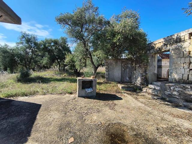 Terreno in vendita a Puglia, Barletta-andria-trani