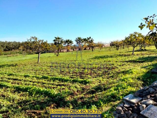 Terreno in vendita a Puglia, Barletta-andria-trani