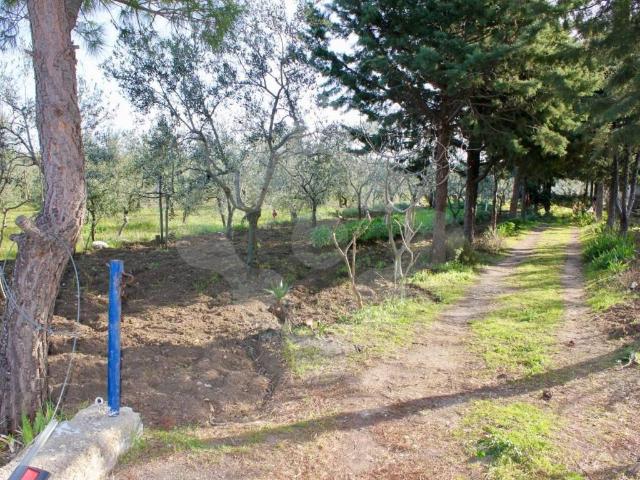 Terreno in vendita a Mariotto, Puglia