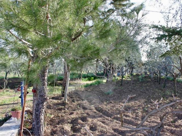 Terreno in vendita a Mariotto, Puglia