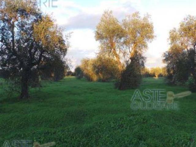 Terreno in vendita a Puglia, Bari
