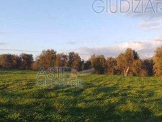 Terreno in vendita a Puglia, Bari