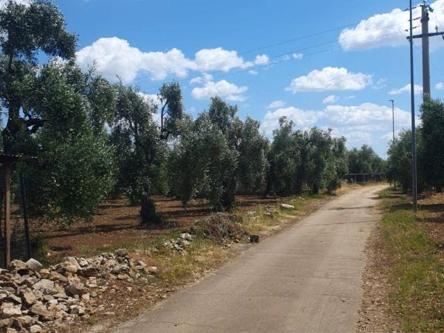 Terreno in vendita a Puglia, Bari