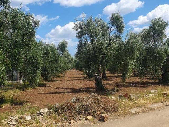 Terreno in vendita a Palo del Colle, Bari