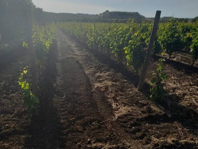 Terreno in vendita a Puglia, Bari