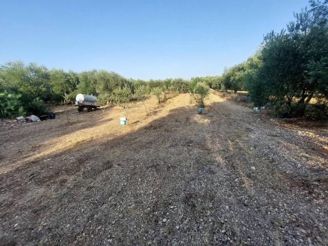 Terreno in vendita a Puglia, Bari