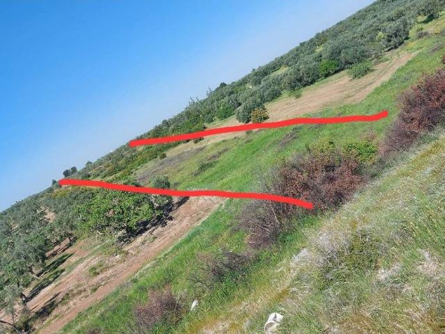 Terreno in vendita a Contrada Randa, Puglia