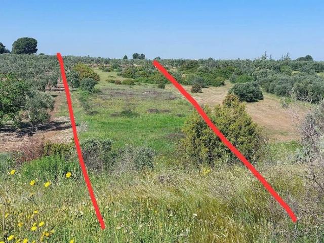 Terreno in vendita a Contrada Randa, Puglia