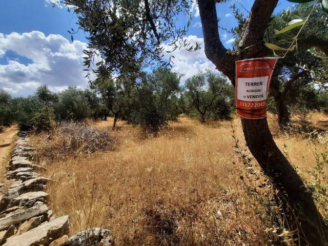 Terreno in vendita a Contrada Randa, Puglia
