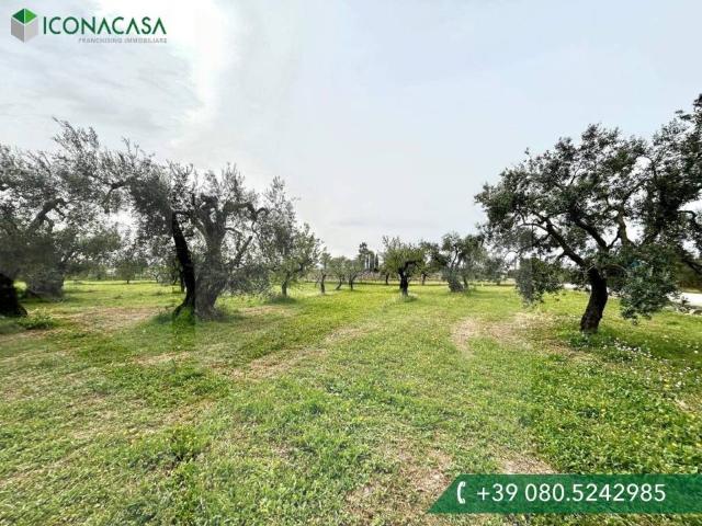 Terreno in vendita a Contrada Randa, Puglia