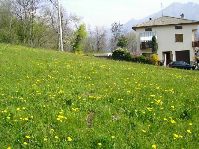 Terreno in vendita a Comunità Montana della Valle Brembana, Blello