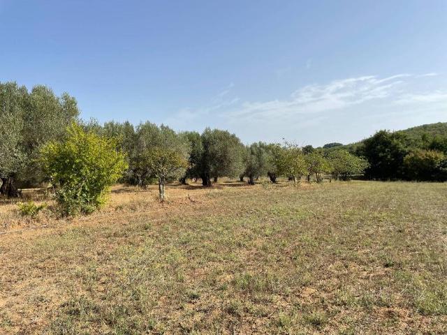 Terreno in vendita a Blera, Lazio