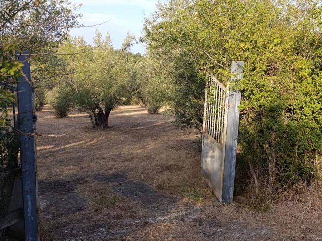 Terreno in vendita a Blera, Lazio