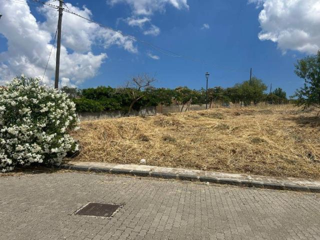 Terreno in vendita a Blufi, Sicilia