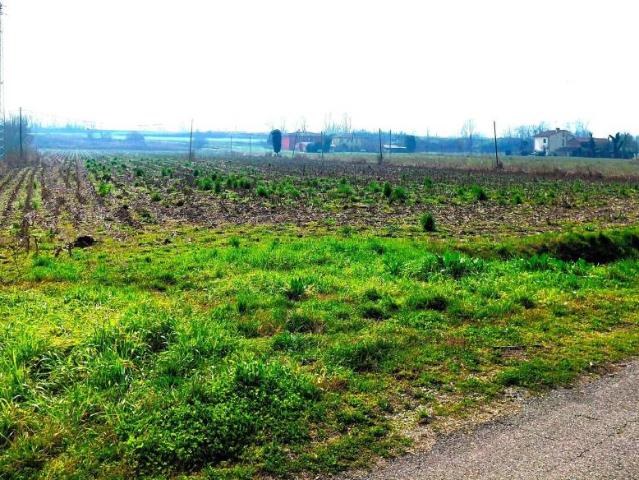 Terreno in vendita a Boara Pisani, Veneto