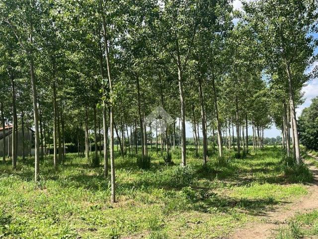 Terreno in vendita a Boffalora Sopra Ticino, Lombardia