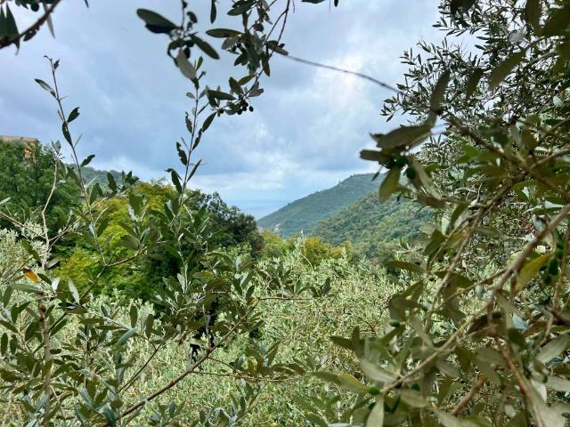 Terreno in vendita a Sori, Liguria