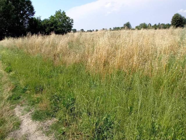 Terreno in vendita a Unione Terre di Pianura, Bologna