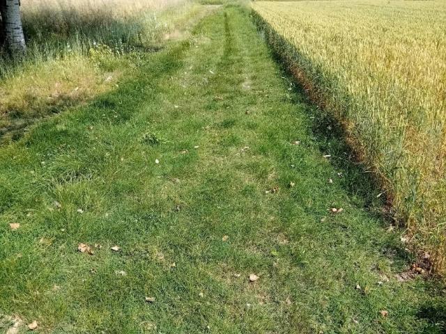 Terreno in vendita a Unione Terre di Pianura, Bologna