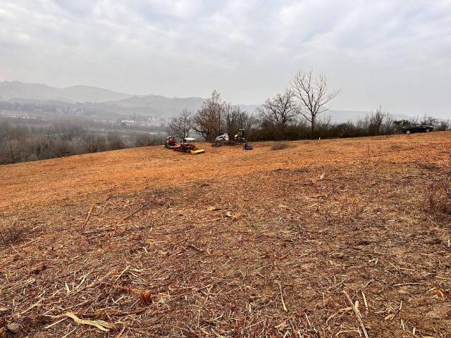 Terreno in vendita a Porto-Saragozza, Bologna