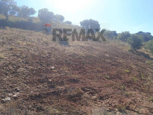 Terreno in vendita a Bolognetta, Sicilia