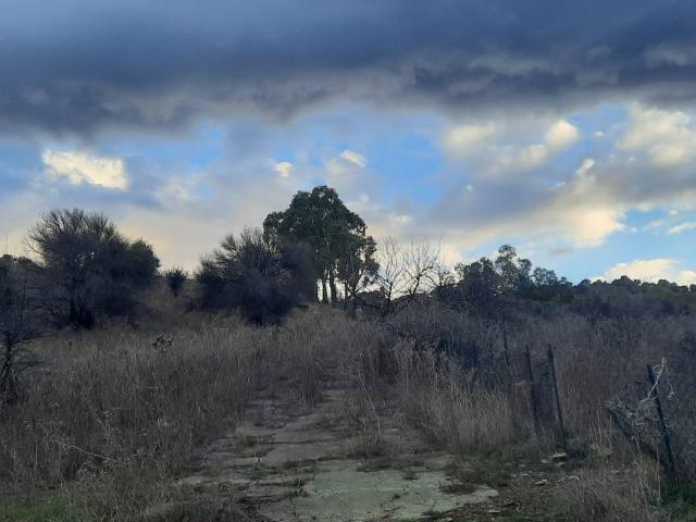 Terreno in vendita a Bolognetta, Sicilia