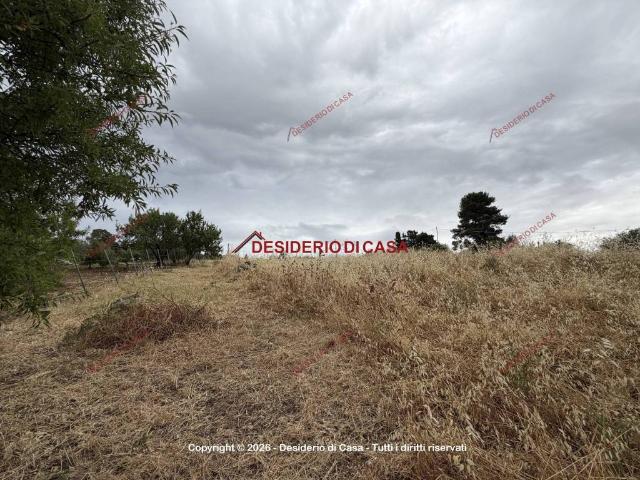 Terreno in vendita a Bolognetta, Sicilia