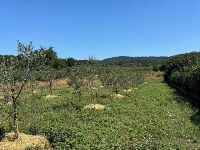 Terreno in vendita a Sant'Antonio, Bolsena