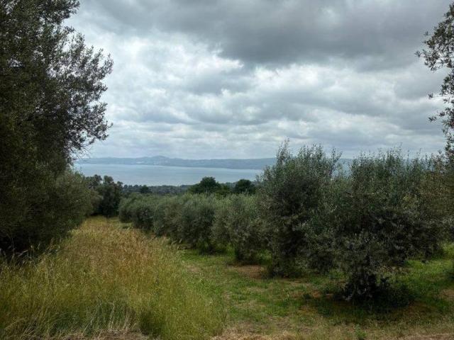 Terreno in vendita a Bolsena, Lazio