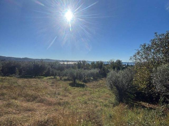 Terreno in vendita a Bolsena, Lazio
