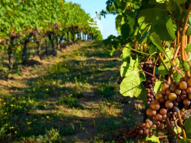 Terreno in vendita a Gries-San Quirino - Gries-Quirein, Bolzano - Bozen