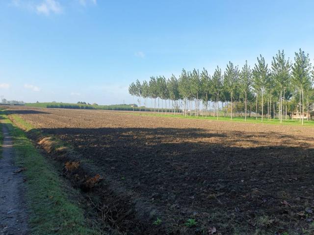 Terreno in vendita a Unione dei comuni del Sorbara, Bomporto
