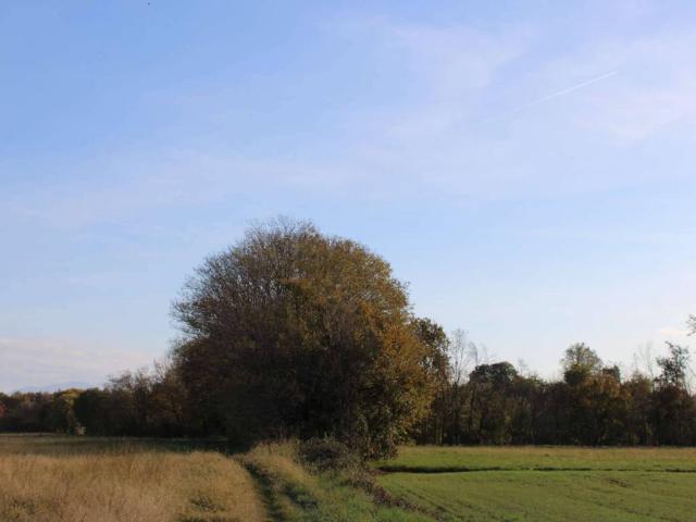 Terreno in vendita a Bonate Sotto, Lombardia
