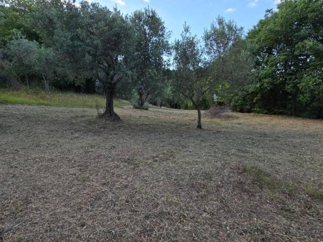 Terreno in vendita a Bonea, Campania