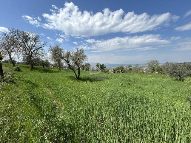 Terreno in vendita a Terre dell’Ufita, Bonito