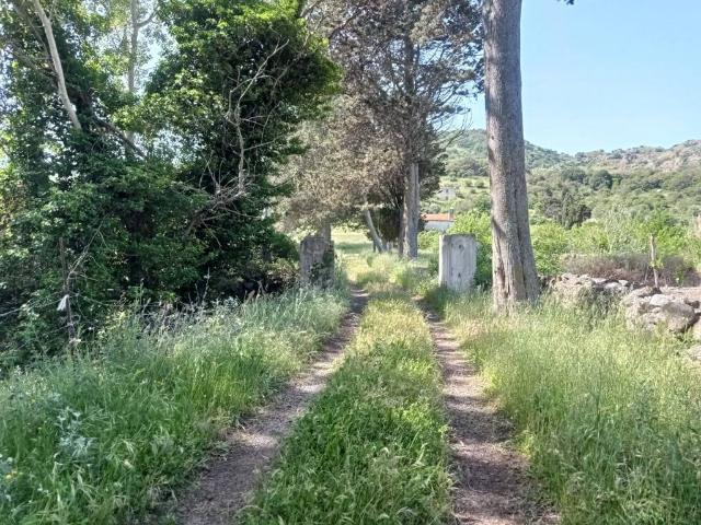 Terreno in vendita a Bonorva, Sardigna/Sardegna