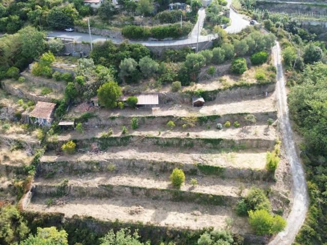 Terreno in vendita a Arziglia, Bordighera