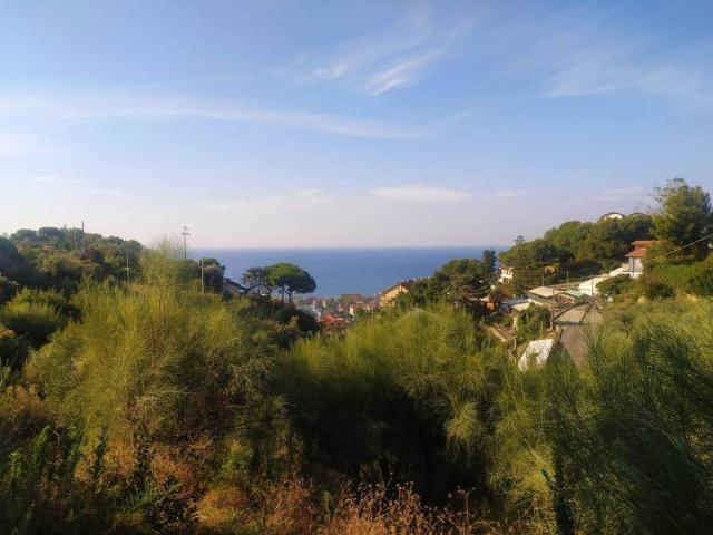 Terreno in vendita a Bordighera, Liguria