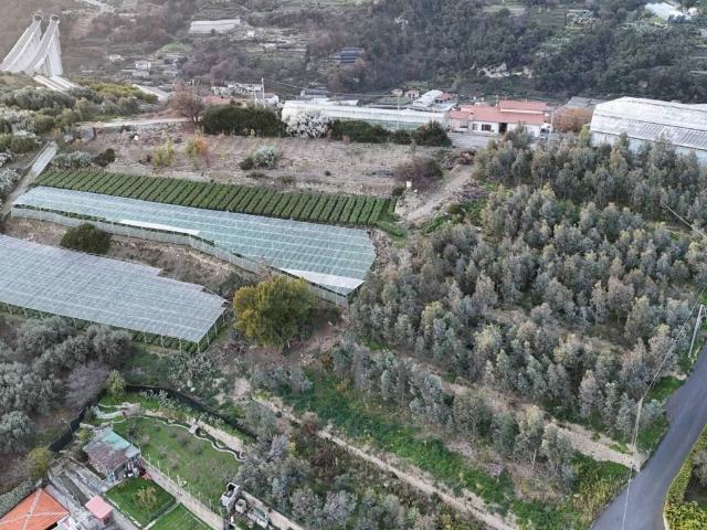 Terreno in vendita a Bordighera, Liguria