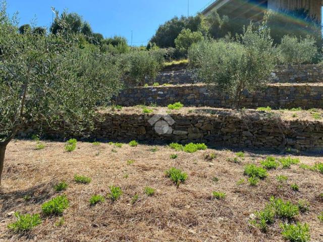 Terreno in vendita a Bordighera, Liguria