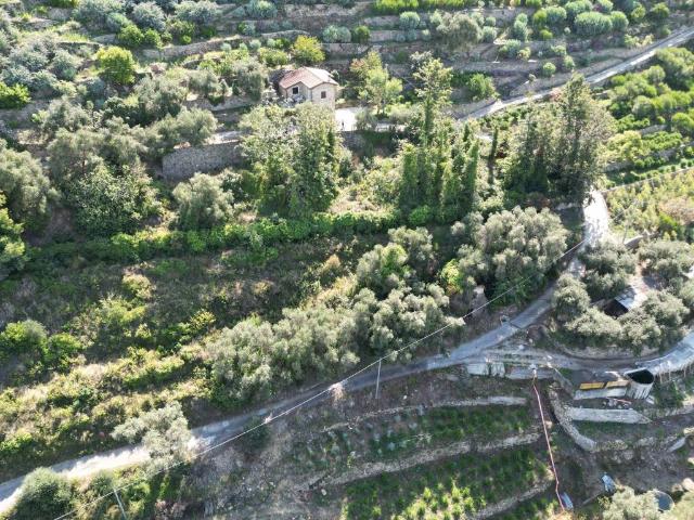 Terreno in vendita a Bordighera, Liguria