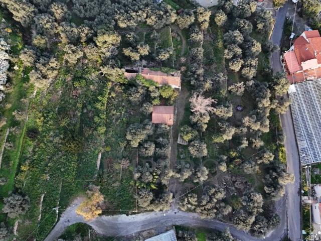 Terreno in vendita a Bordighera, Liguria
