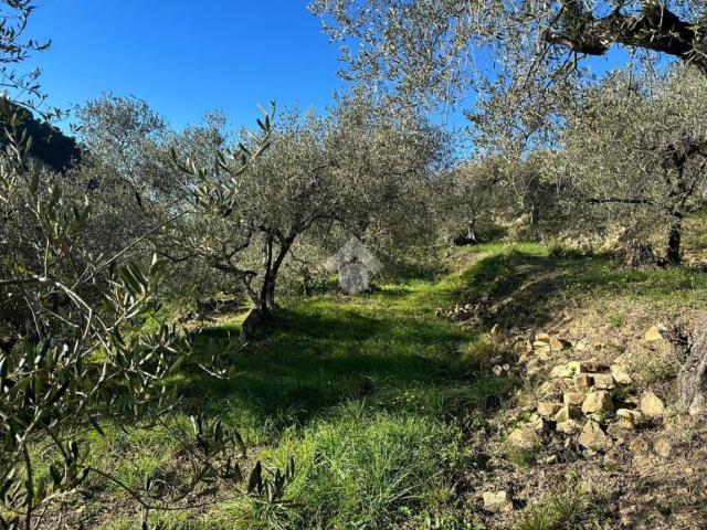 Terreno in vendita a Bordighera, Liguria