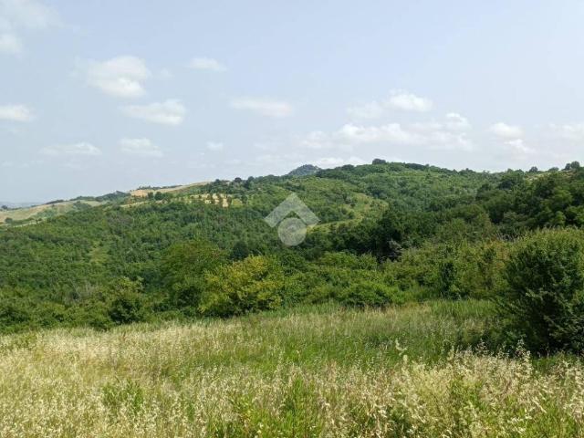 Terreno in vendita a Sogliano al Rubicone, Forlì-Cesena