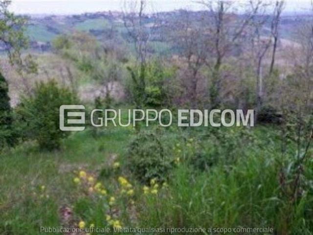 Terreno in vendita a Borghi, Reggio Emilia